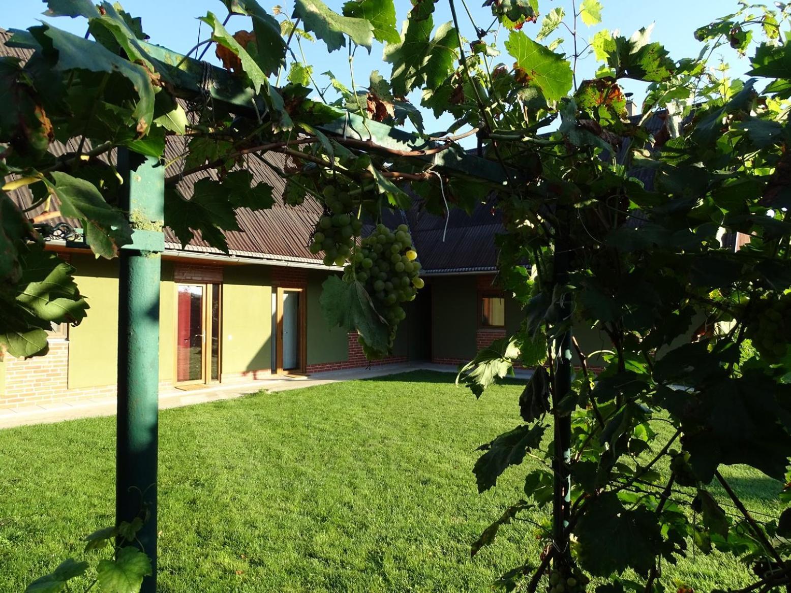 Penzion Pod Vapenkami Straznice Exterior photo